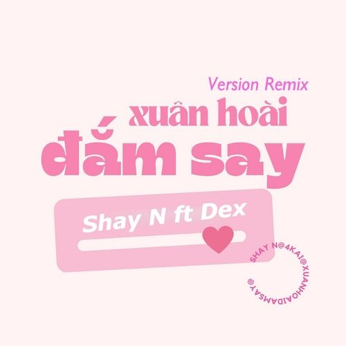 Bài hát Xuân Hoài Đắm Say (Remix) - Shay N