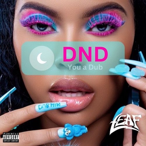 Album DND (Single) - Leaf