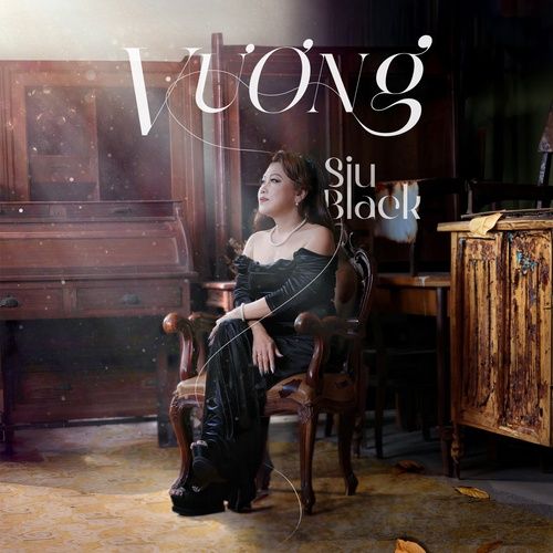 Album Vấn Vương