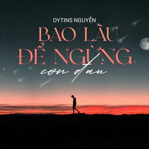 Album Nỗi Đau Bao Lâu - DyTins Nguyễn