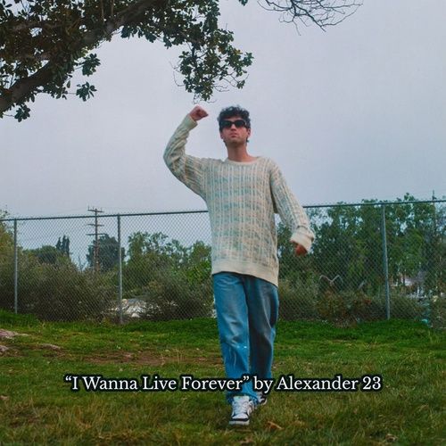 Album I Don't Wanna Live Forever (Single)