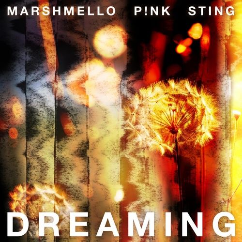 Album Dreaming - Marshmello