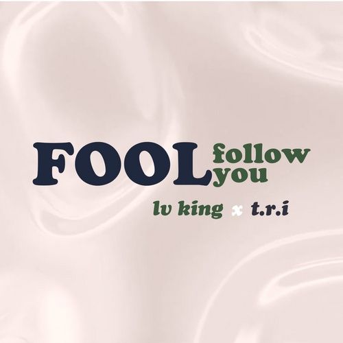 Album Follow You Follow Me - LV King