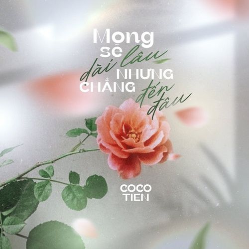 Album Những Giấc Mộng Dài (Single)