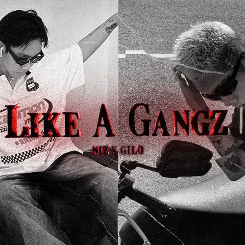 Bài hát Like A Gangz - Niz