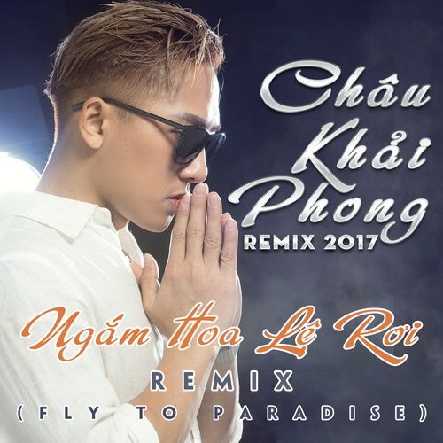 Album Ngắm Hoa Lệ Rơi Remix