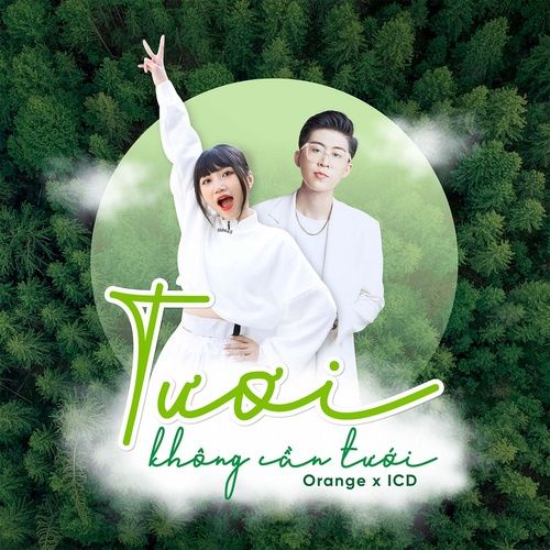 Album Tuổi Thanh Xuân (Single)