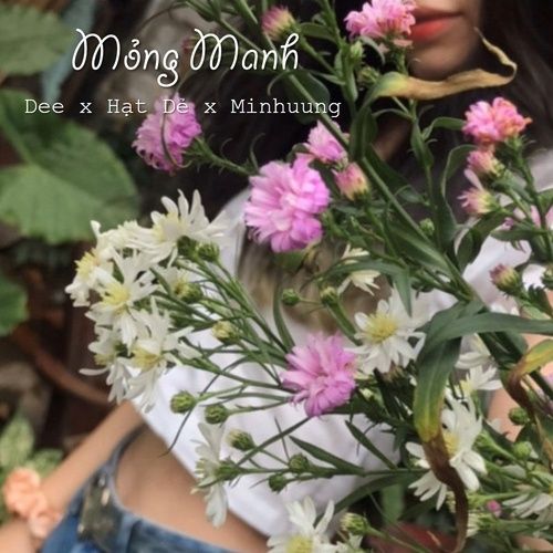 Album Mong Manh (Vol. 10) - Hạt Dẻ