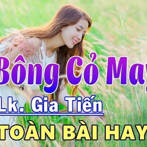 Bài hát Bông Cỏ May - Gia Tiến