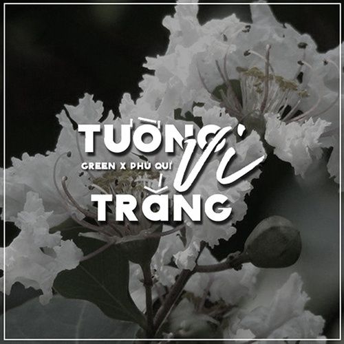 Album Tưởng Nhớ Đại Tướng